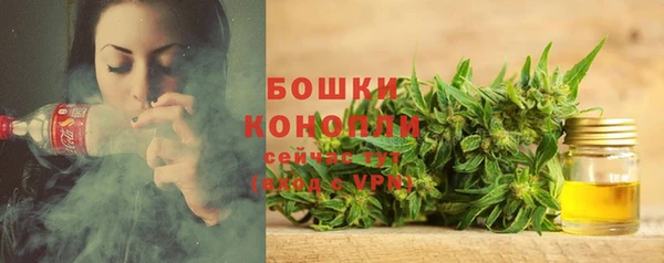 дмт Заволжск