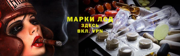 сатива Заводоуковск