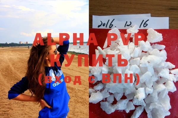 сатива Заводоуковск