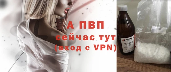 сатива Заводоуковск