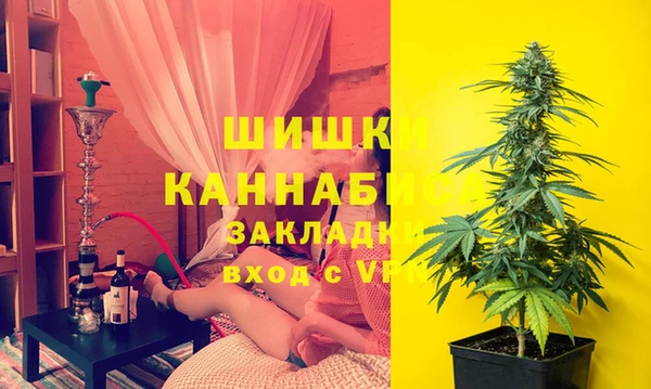 стаф Заволжье