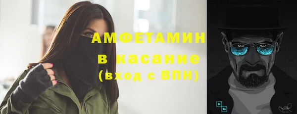 сатива Заводоуковск
