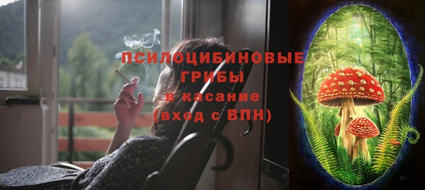 дмт Заволжск