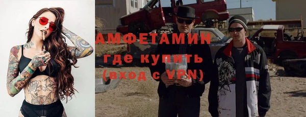 сатива Заводоуковск