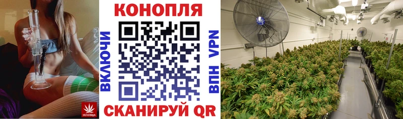 МАРИХУАНА гибрид  Купить где  Терек 